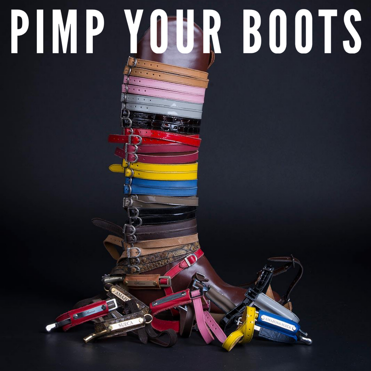 shoe laces, name plates, spur straps, spur protectors, shoe care