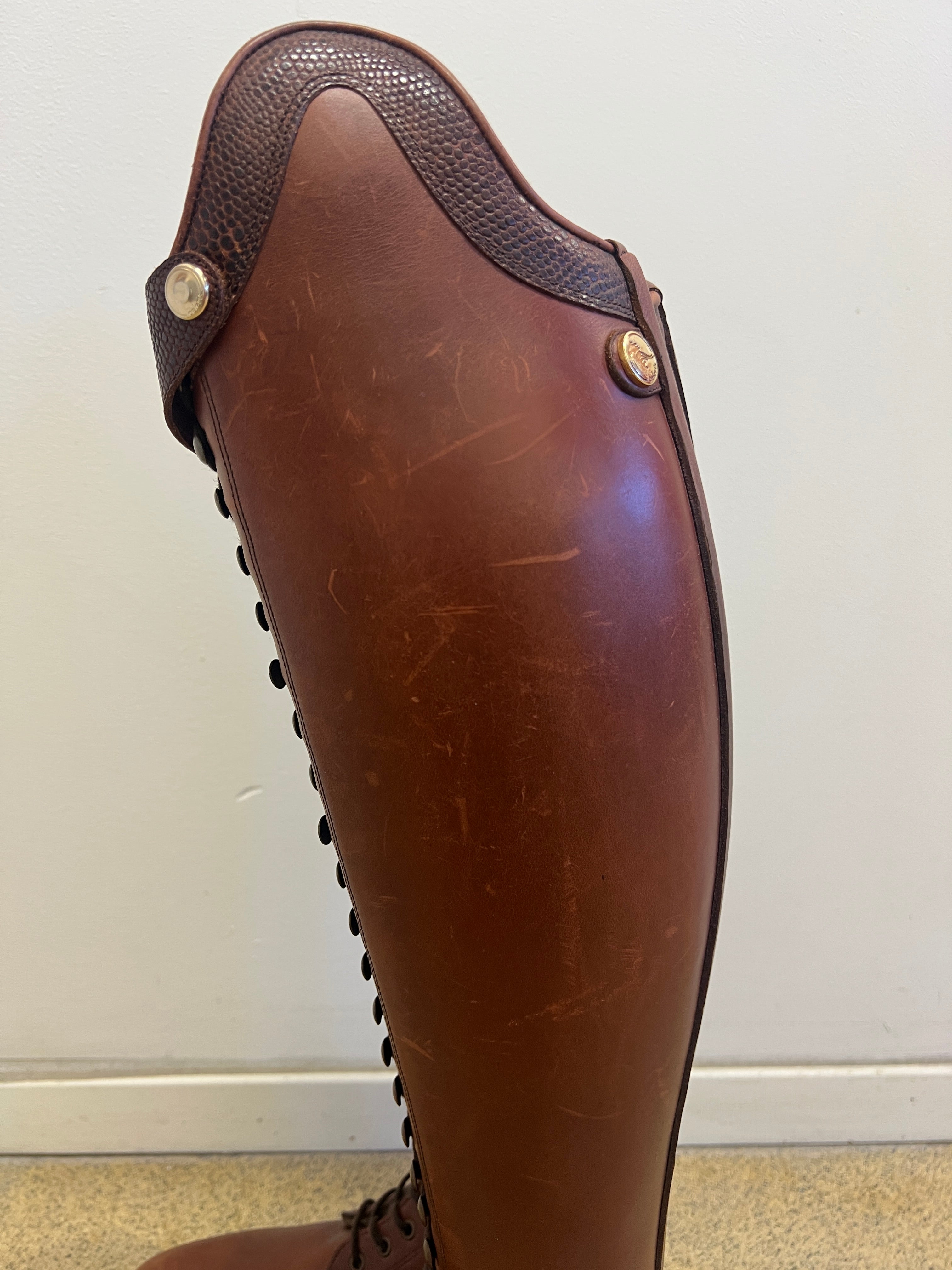 BIA DRESSAGE WINTER - Chestnut Brown/Embossed brown - Size 41/35-36/52