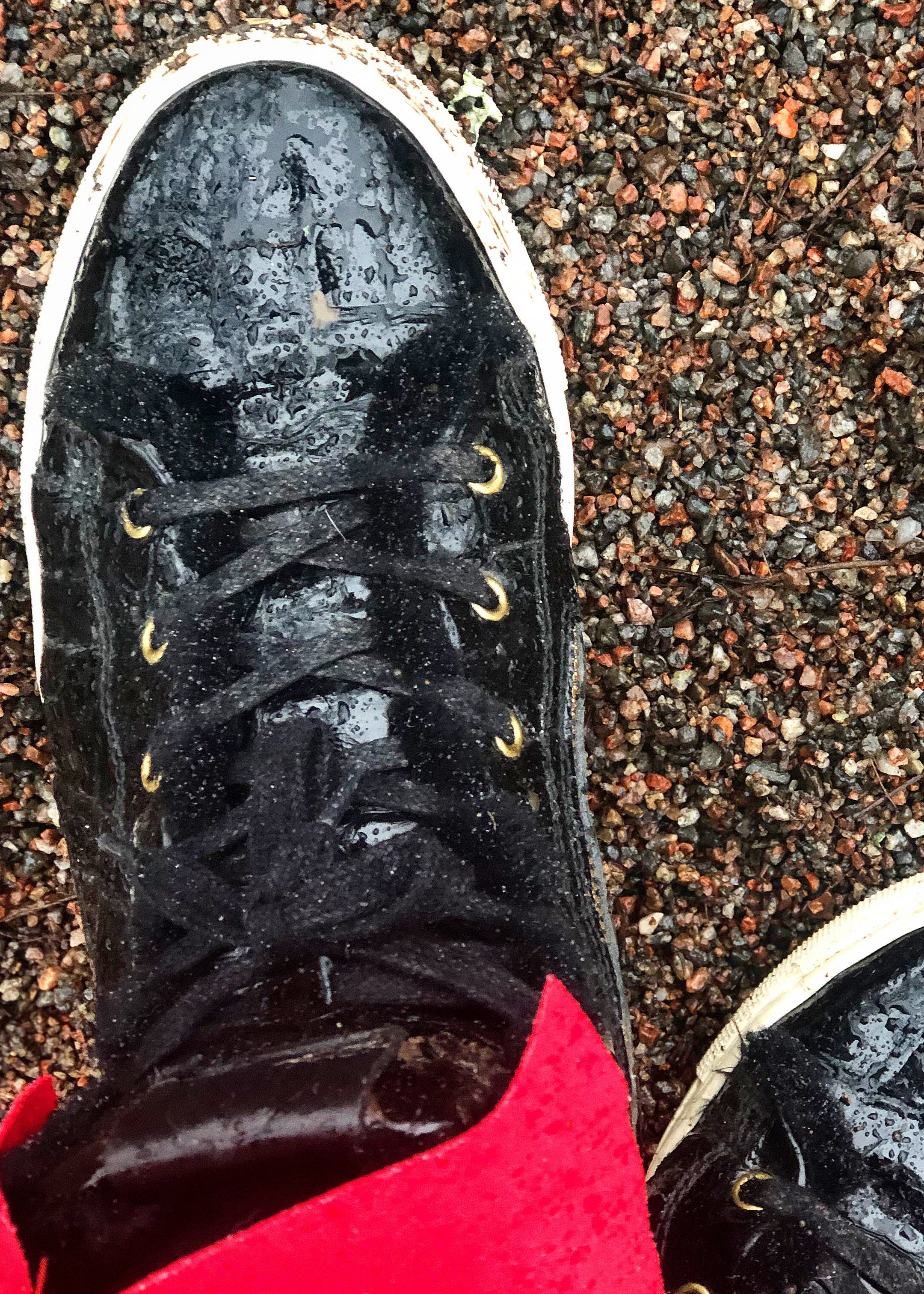 Shearling Lined High Top Sneakers – Black Croco Gloss