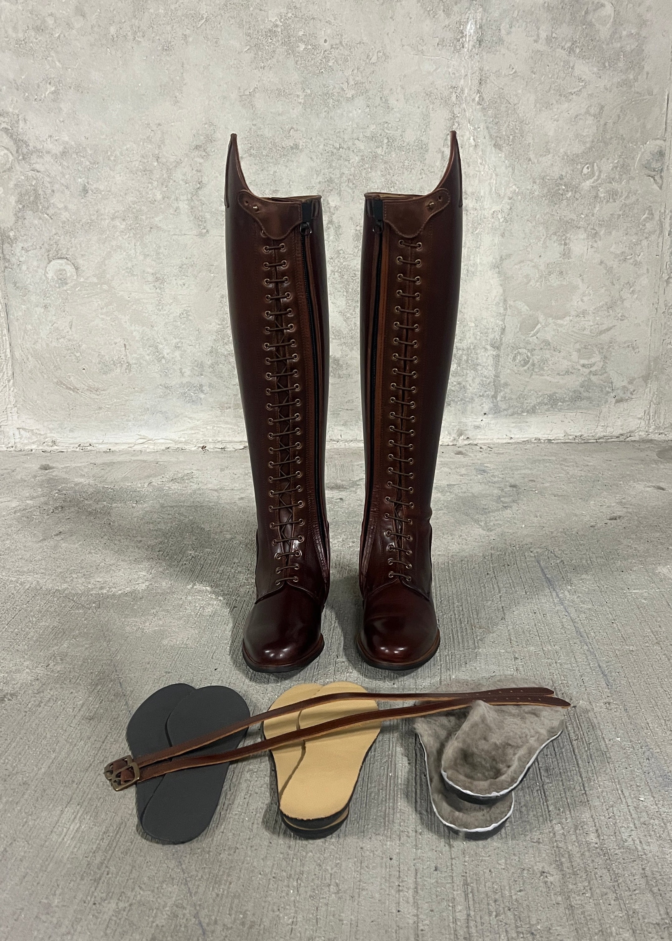 Paulista Seahorse Brown