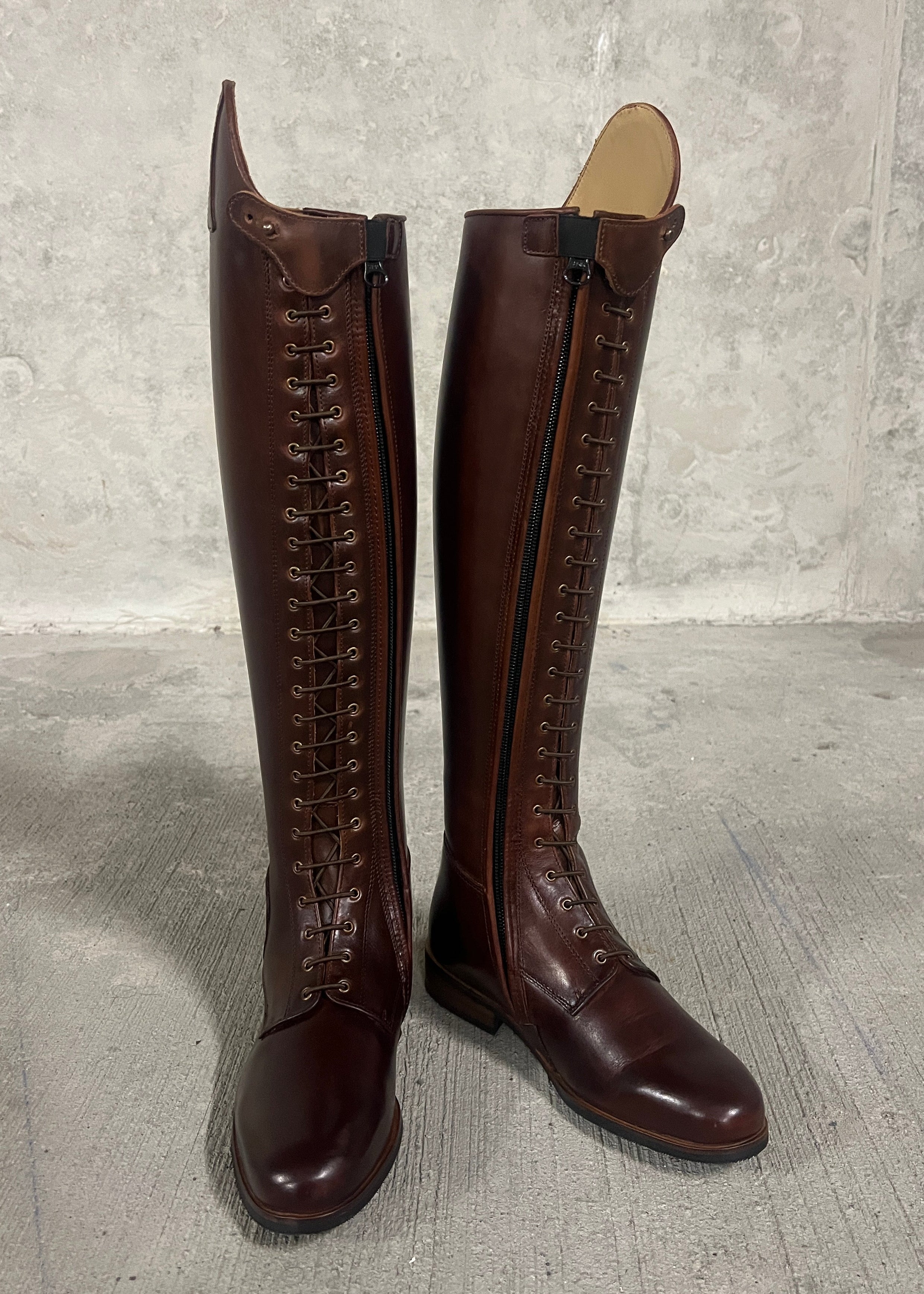 Paulista Seahorse Brown