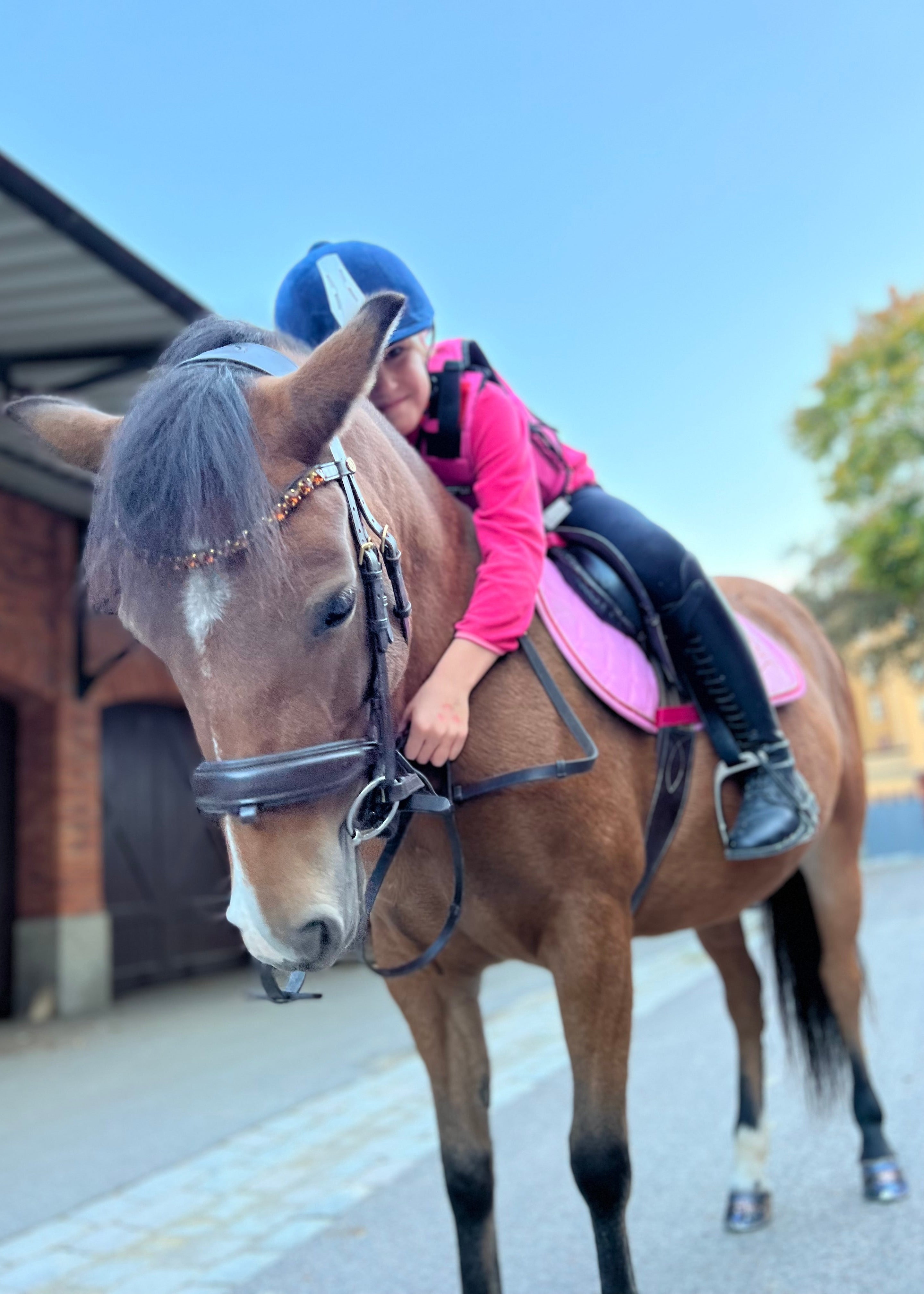 Menina Youngster Black