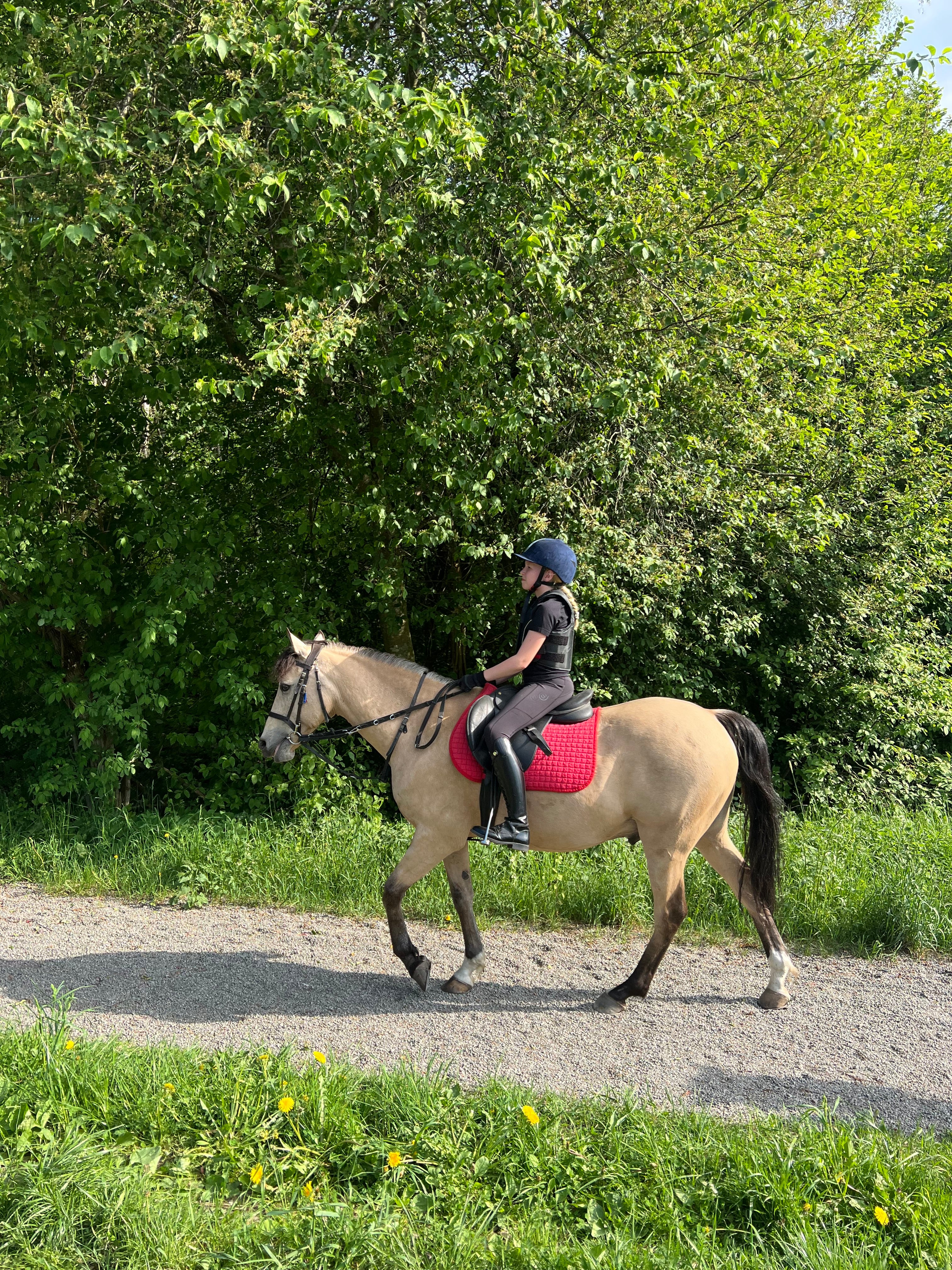 Menina Youngster Polished Black