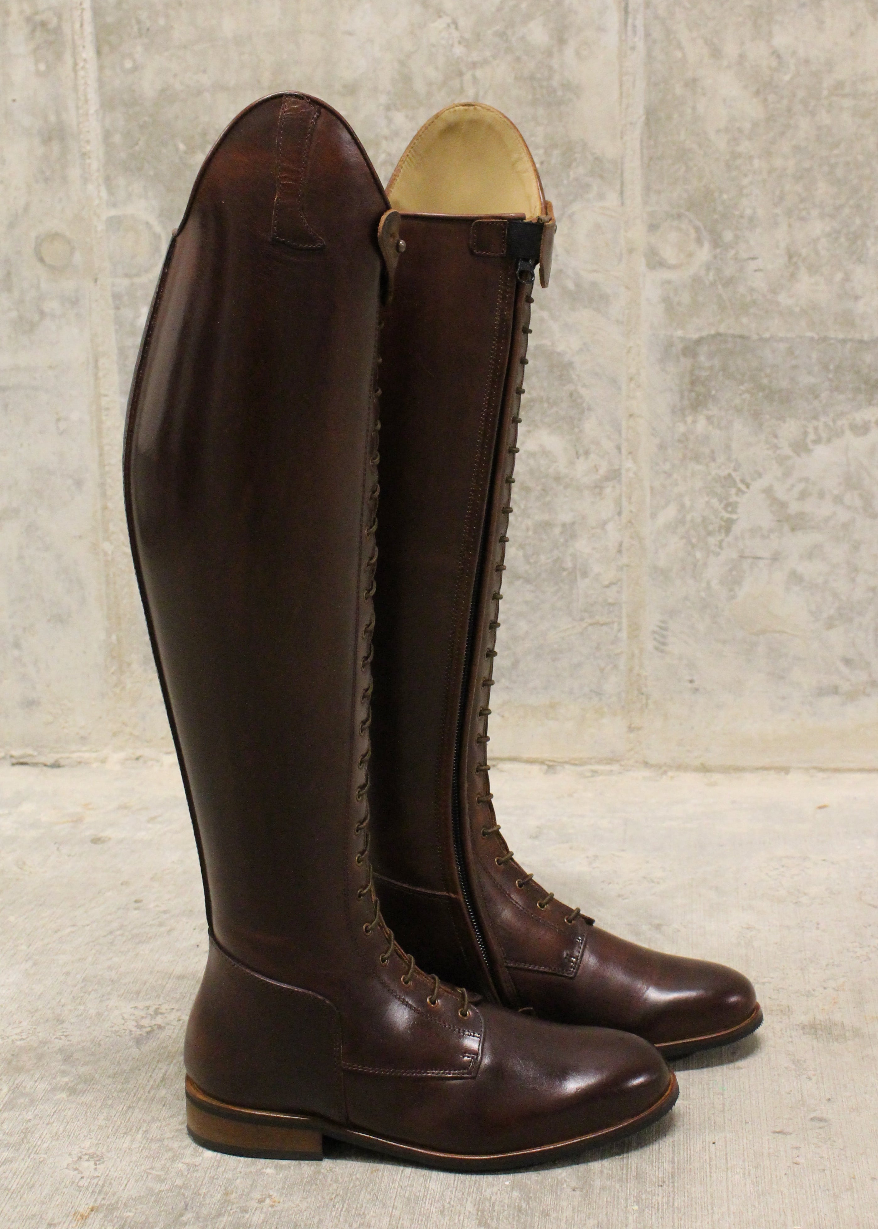 Paulista Seahorse Brown