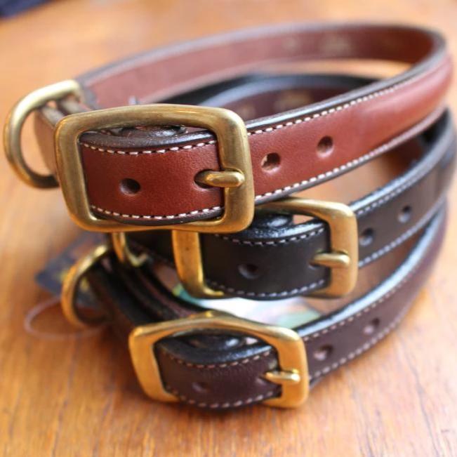 Dog Collar with space for a name plate in Havanna