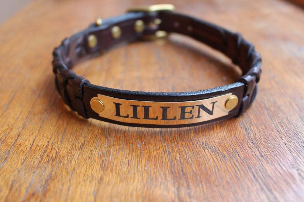 Engraved Name Plate For Dog Collars