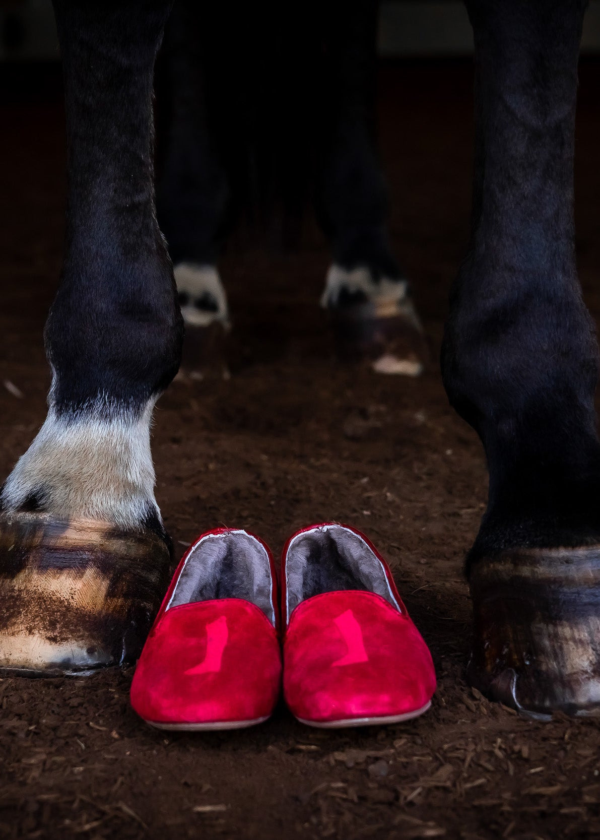 Augusta Sheepskin Red Suede