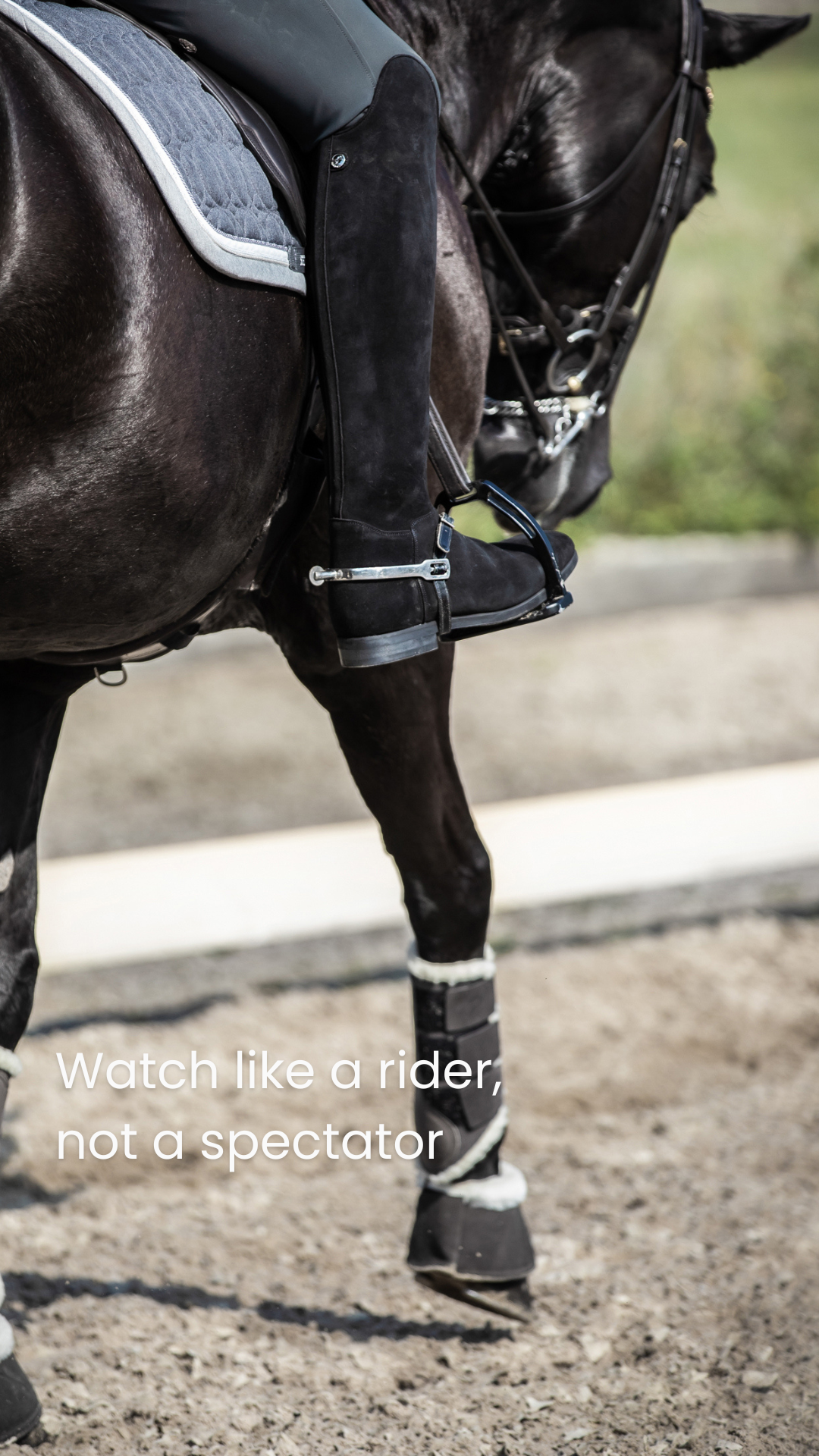 Watch like a rider - not a spectator