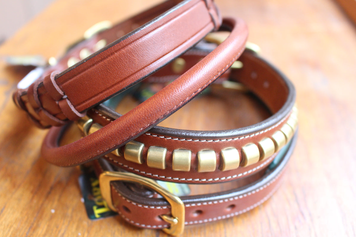 Dog collars