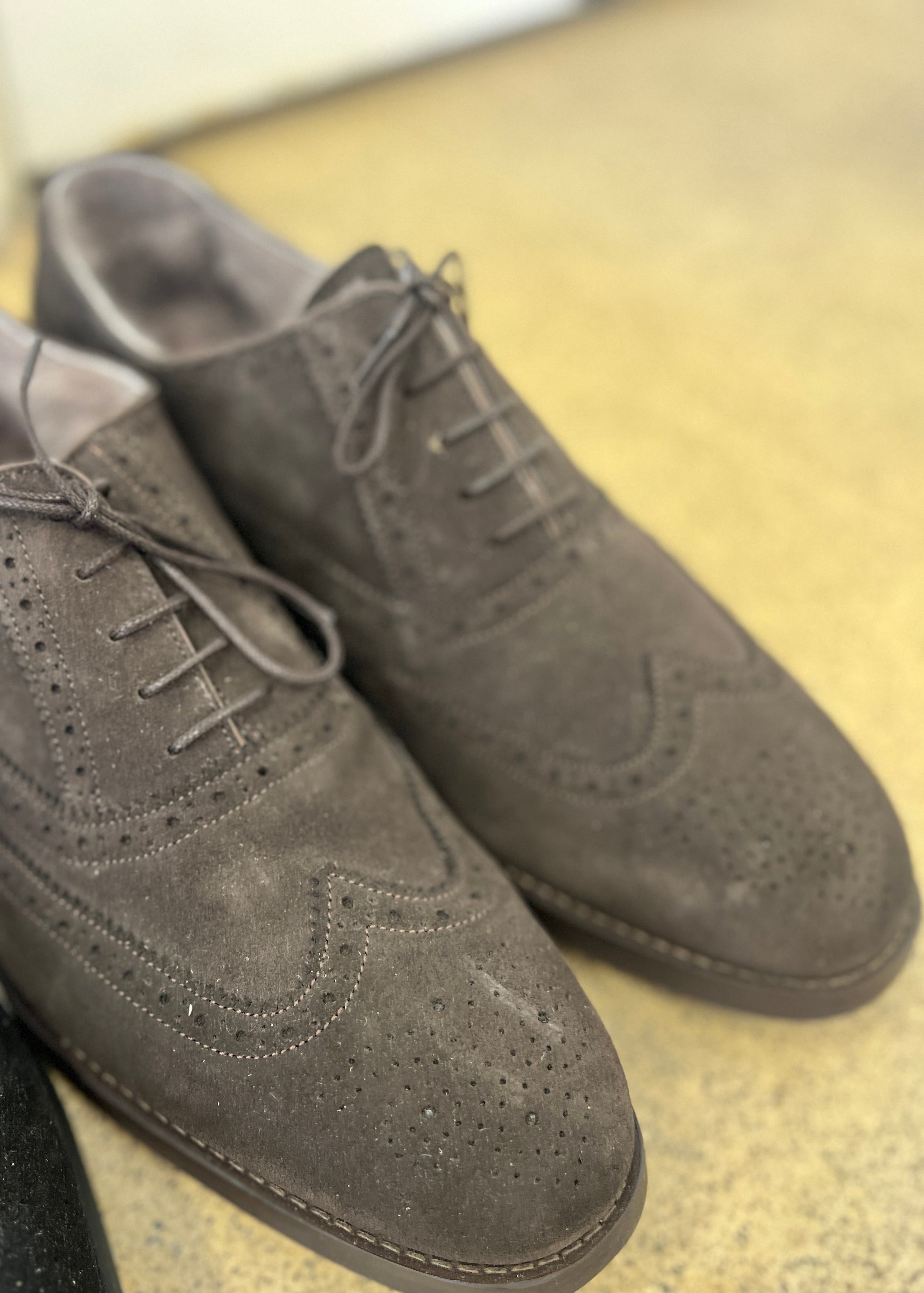 Campino | Black Gloss, Black Suede, Coffee Suede | Size 47-47,5