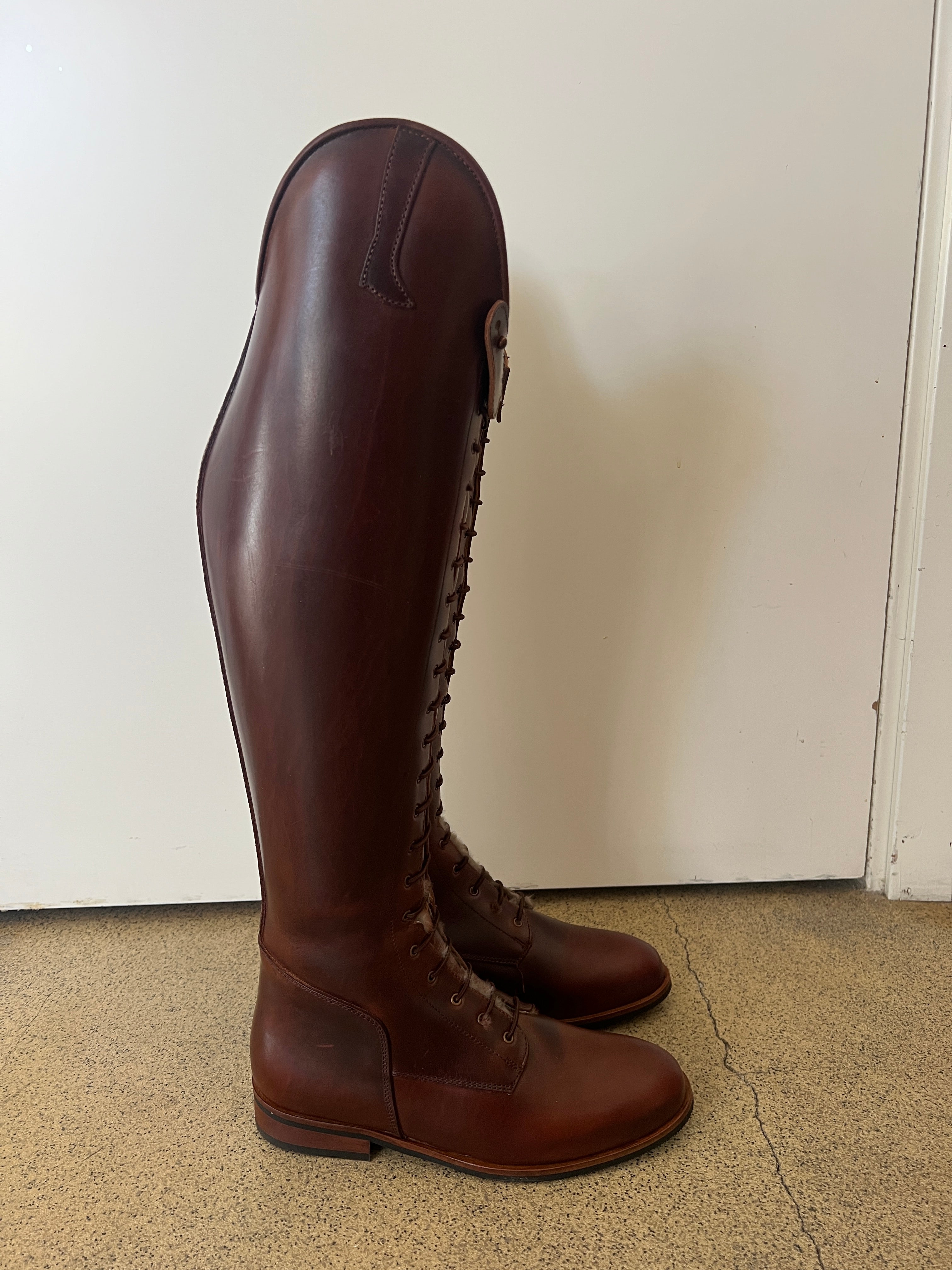 Paulista Seahorse Brown