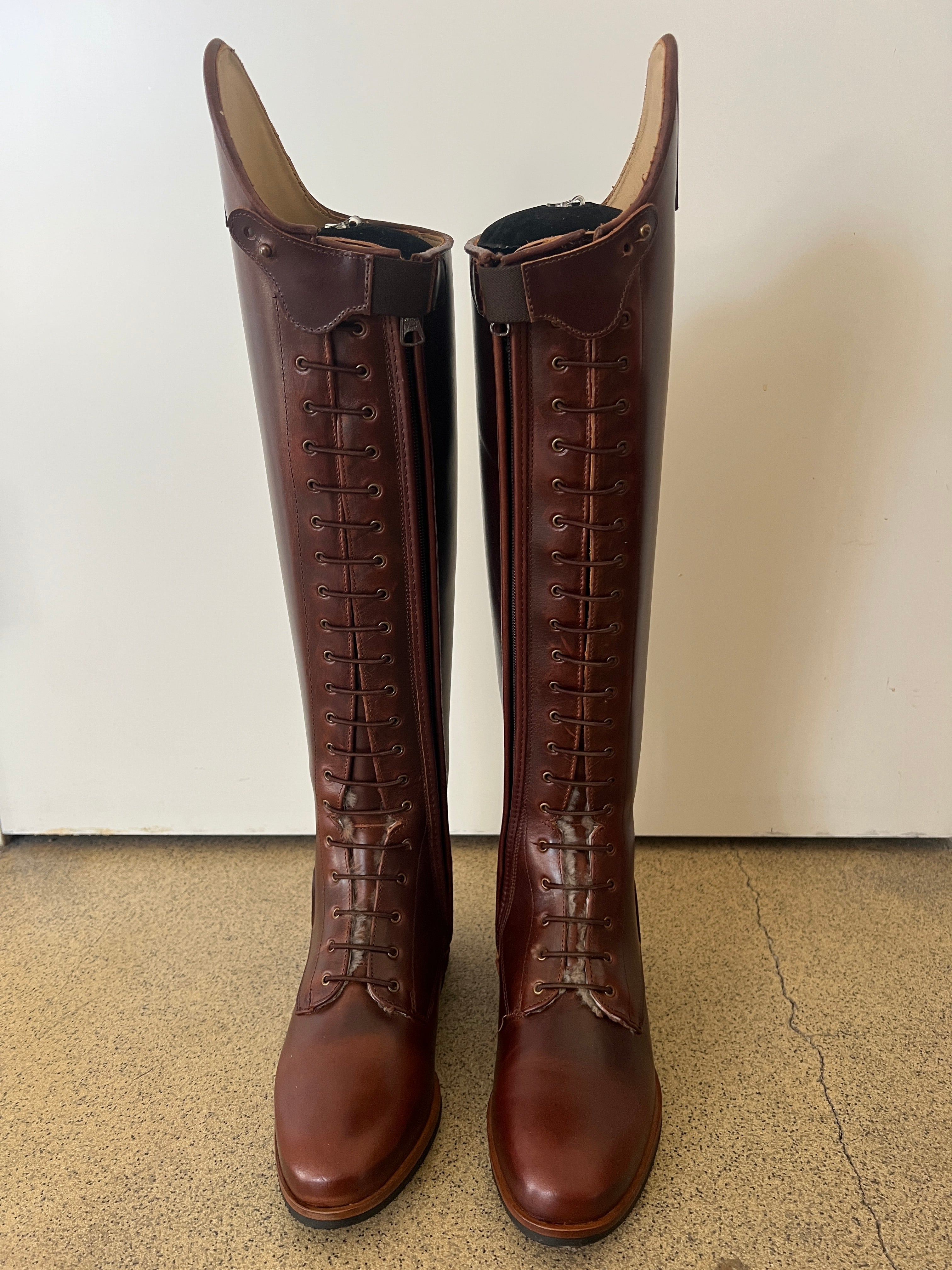 Paulista Seahorse Brown