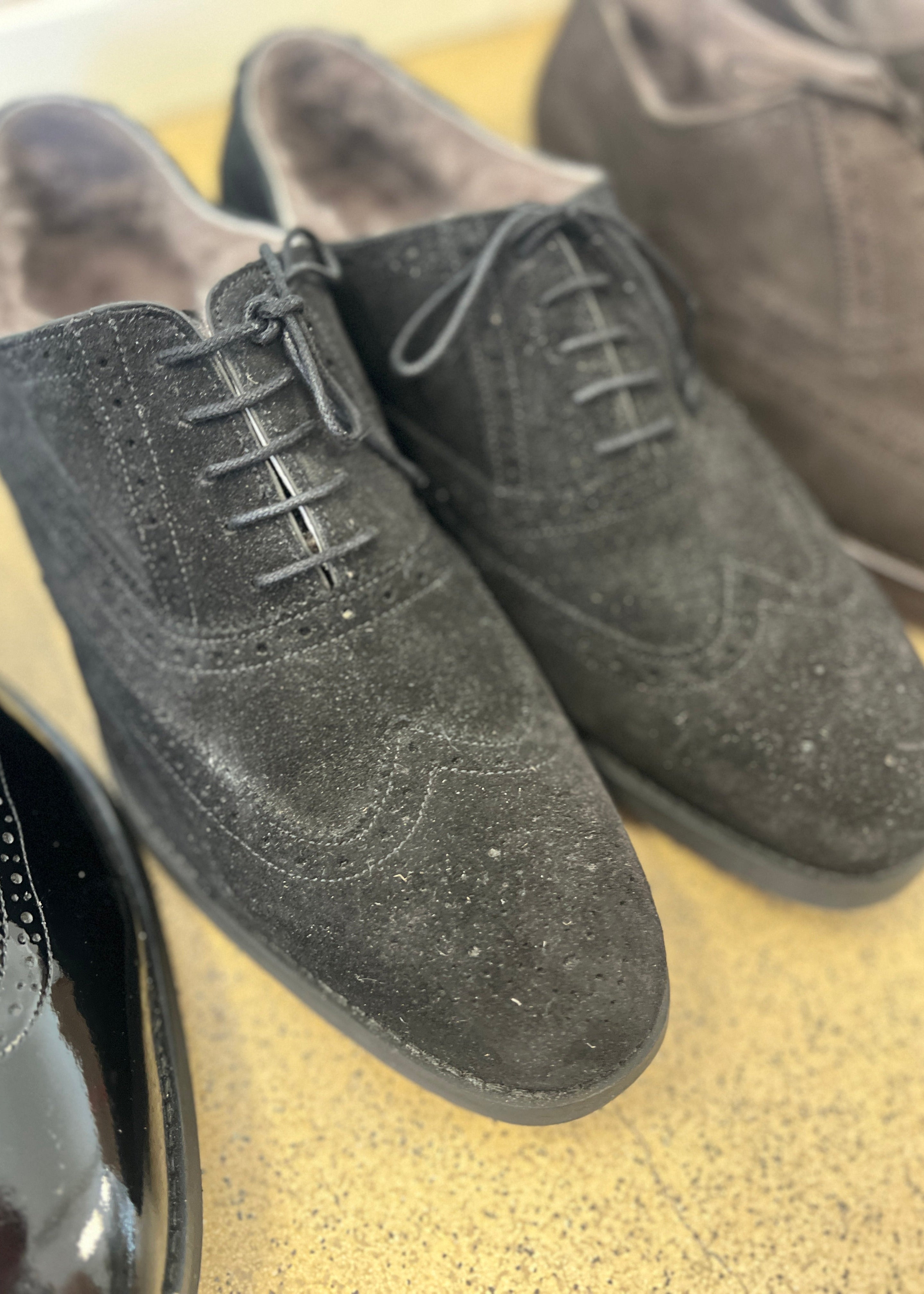 Campino | Black Gloss, Black Suede, Coffee Suede | Size 47-47,5