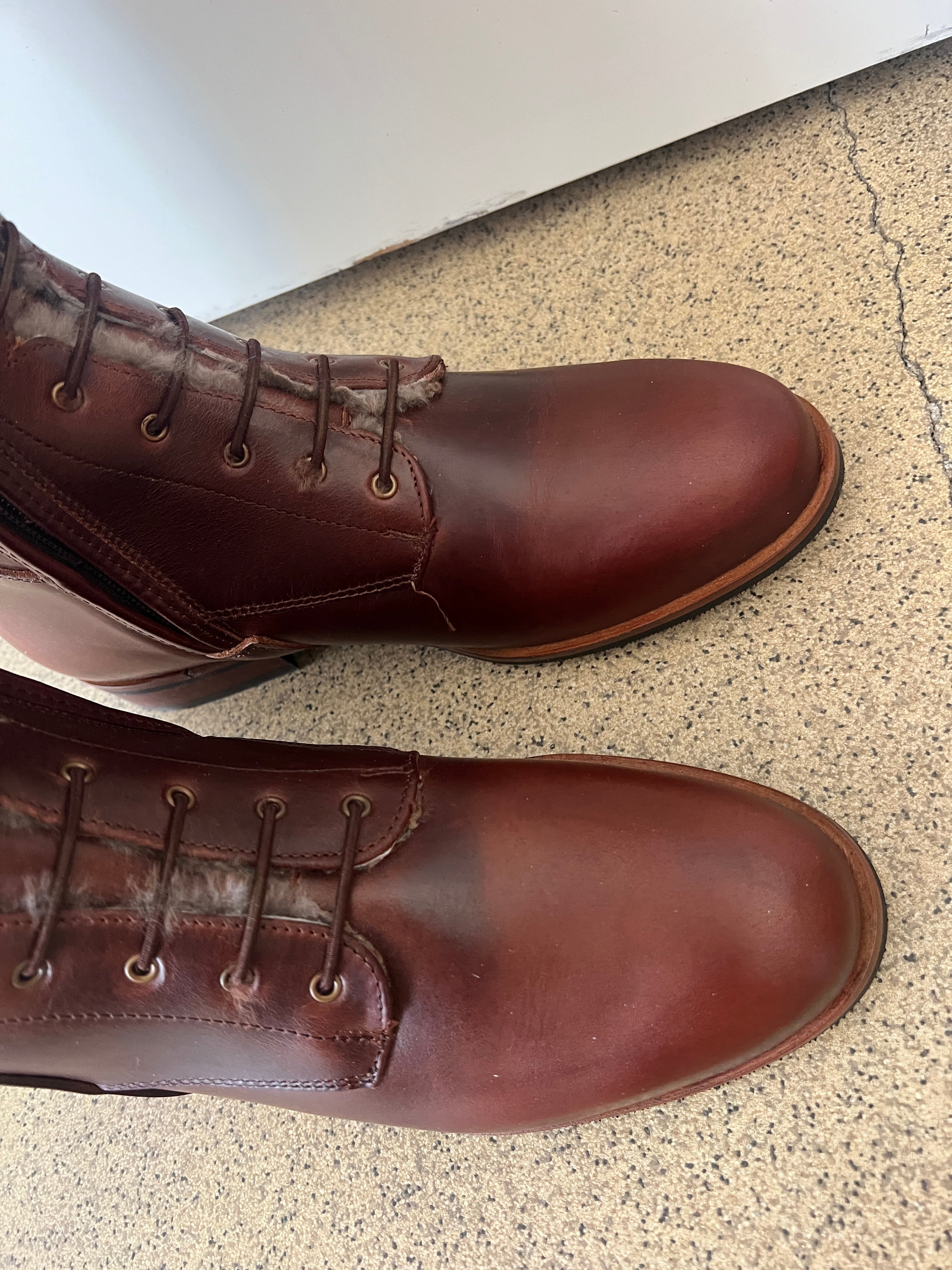 Paulista Seahorse Brown