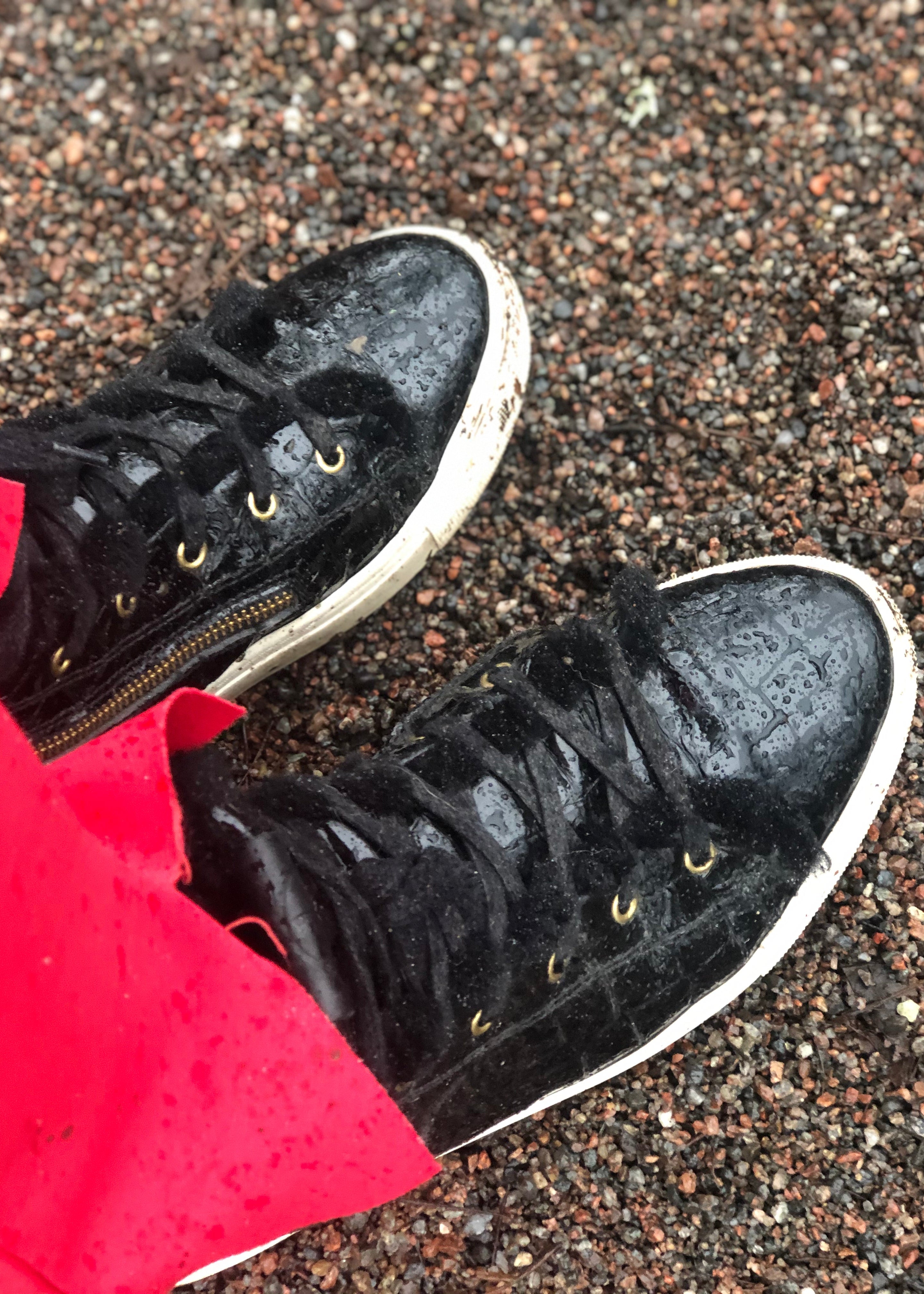 Shearling Lined High Top Sneakers – Black Croco Gloss