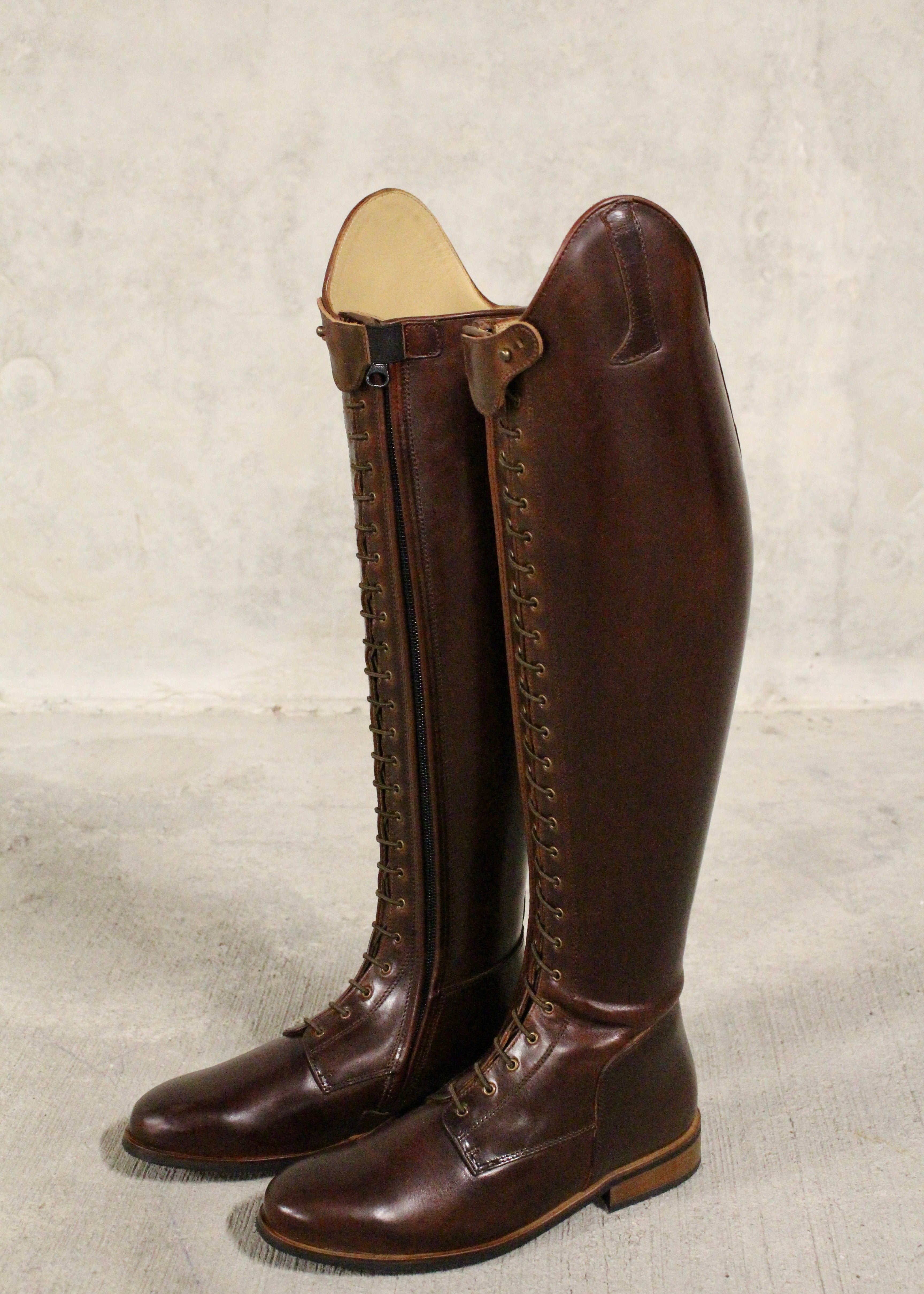 Paulista Seahorse Brown