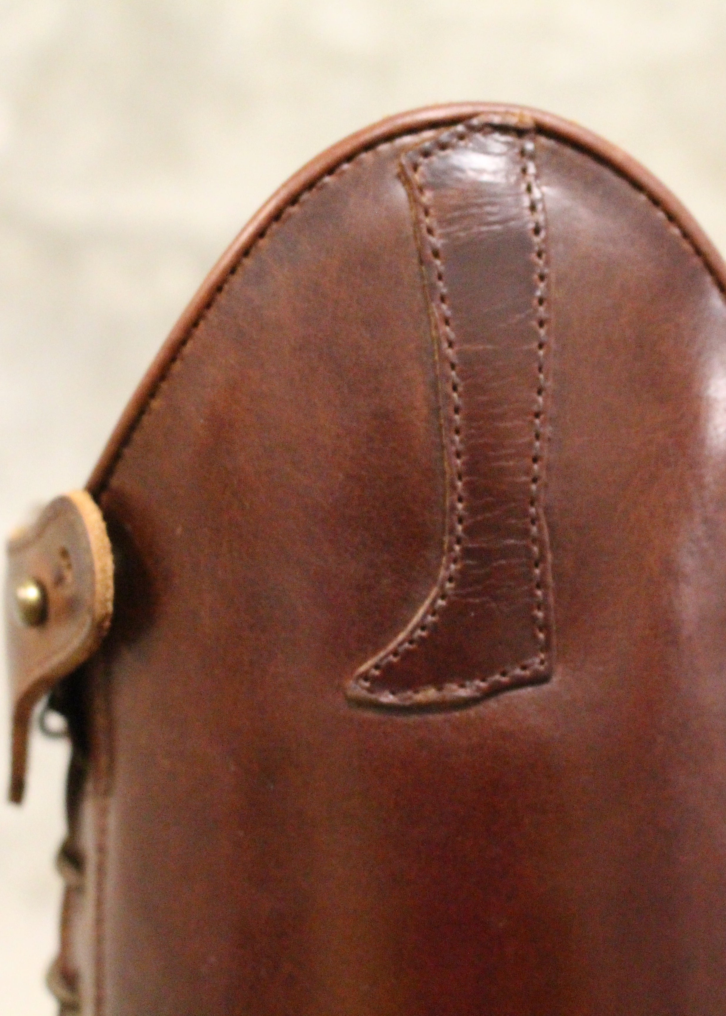 Paulista Seahorse Brown