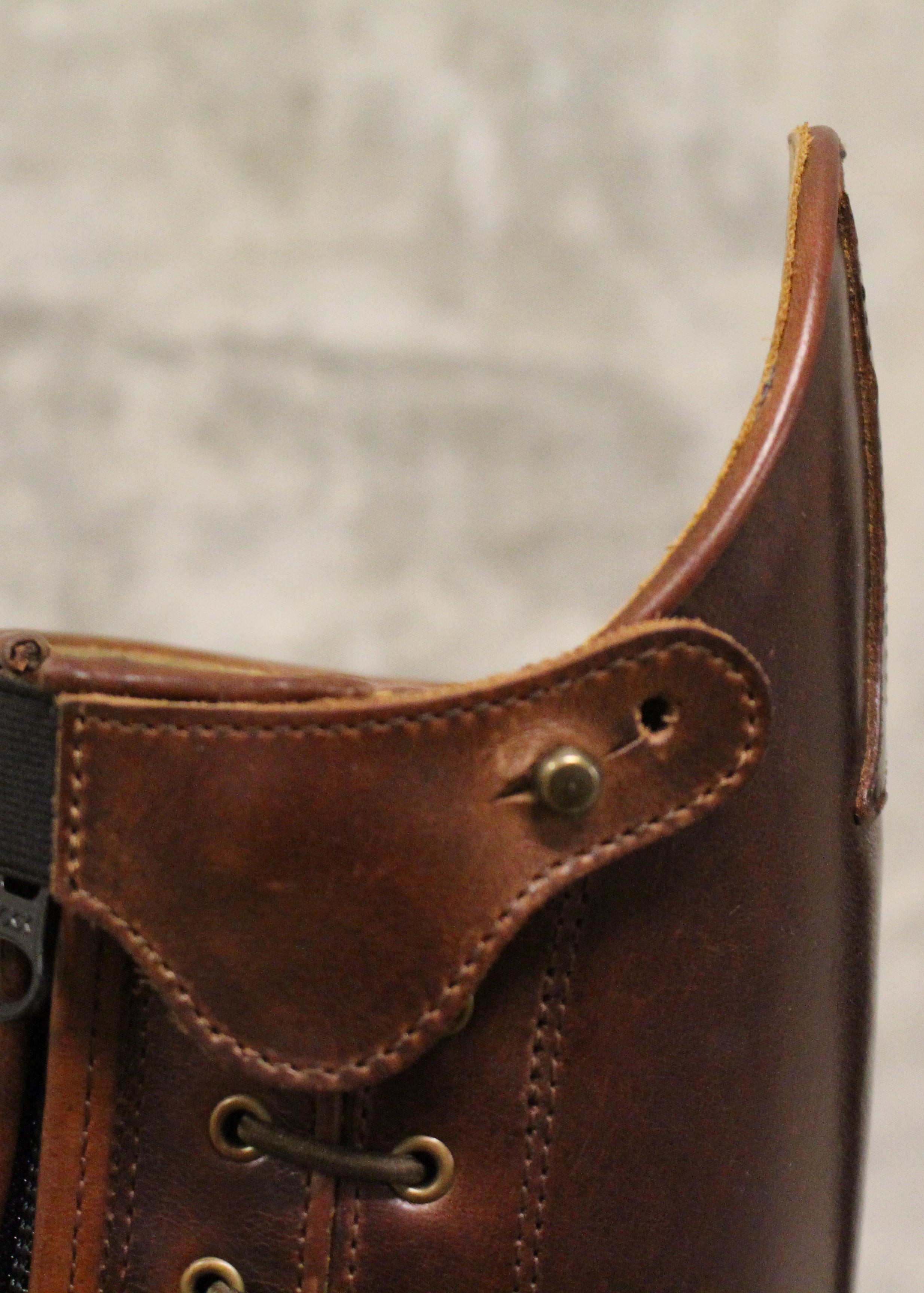 Paulista Seahorse Brown