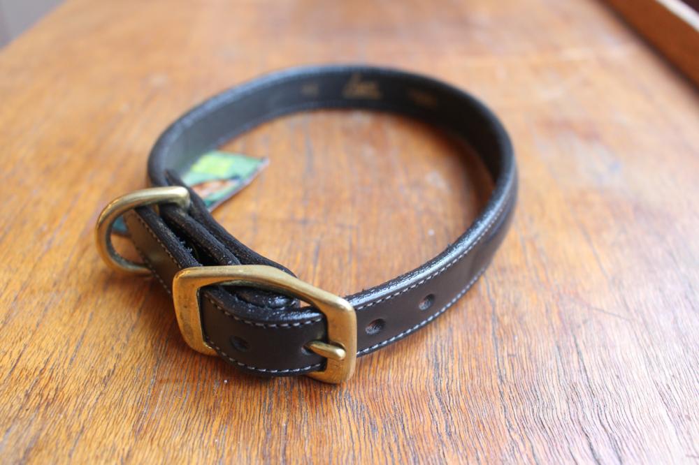 Dog Collar Black with space for a name plate