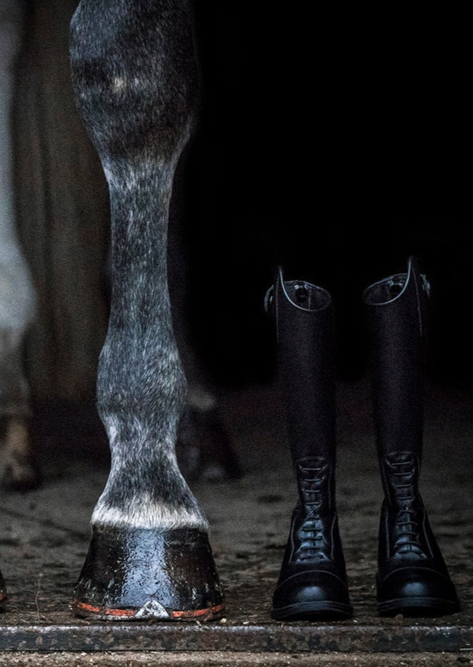 Rapaz Youngster Black