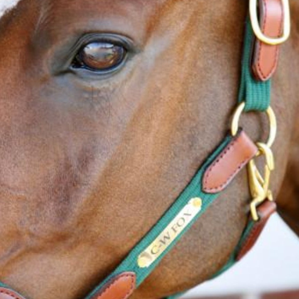 Engraved Name Plate For Halters