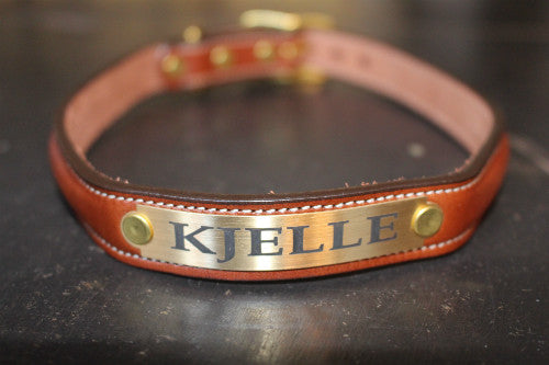 Dog Collar Black with space for a name plate